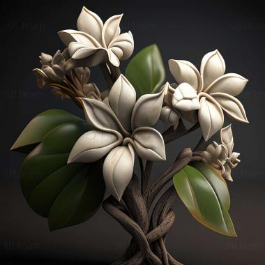 3D model Manduca jasminearum (STL)